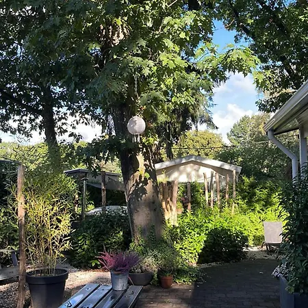 Boslodge Het Verwende Nest met privé Hottub-3